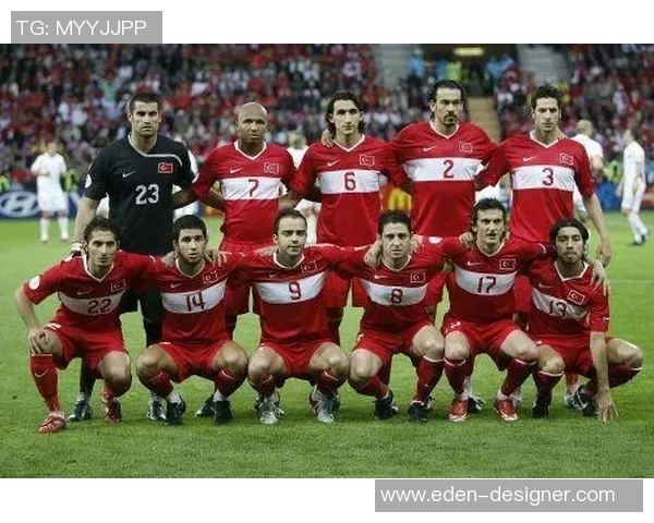 乌克兰与土耳其世界杯对决精彩回顾与赛后分析