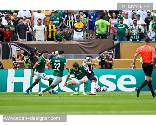 巴西与喀麦隆11月21日比赛结果分析及精彩瞬间回顾